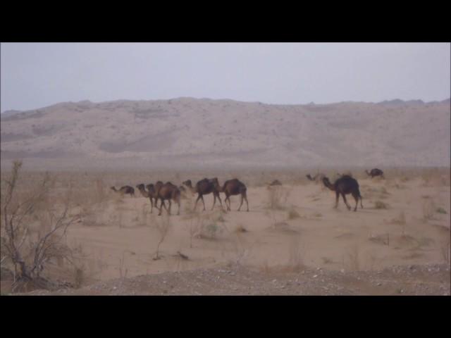 Iran MTB