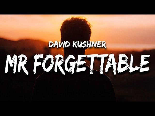 David Kushner - Mr. Forgettable (Lyrics) "hello hello are you lonely"