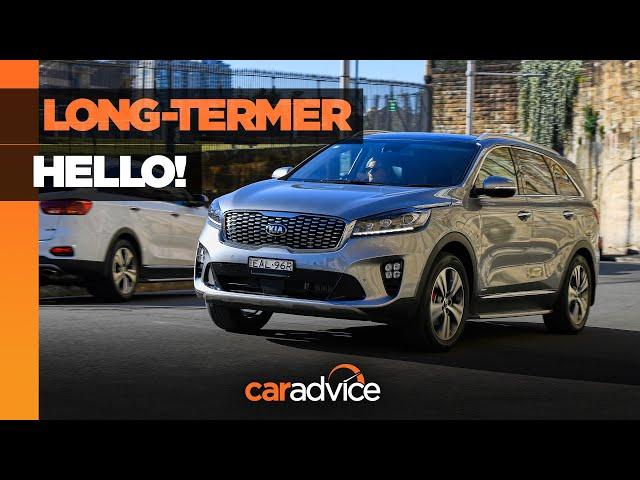 2019 Kia Sorento long-term review introduction | Family SUV test | CarAdvice