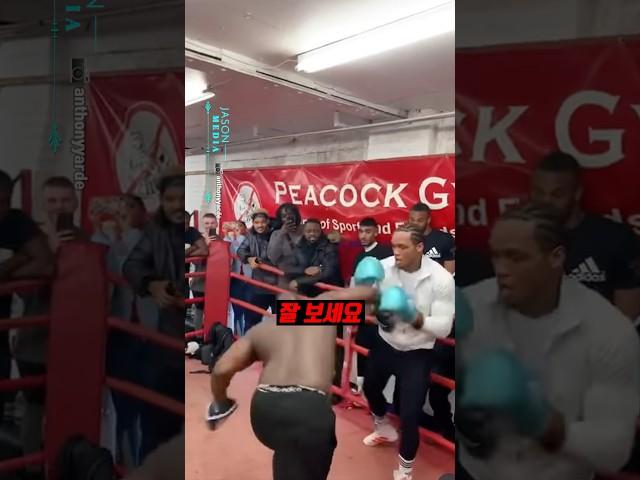 복싱 모르면 왼쪽이 잘 한다고 생각합니다