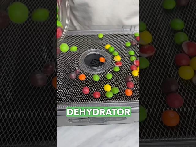 $100 Dehydrator vs. $4,000!Freeze Drier 🫣 #freezedried #dehydrator #freezedriedcandy