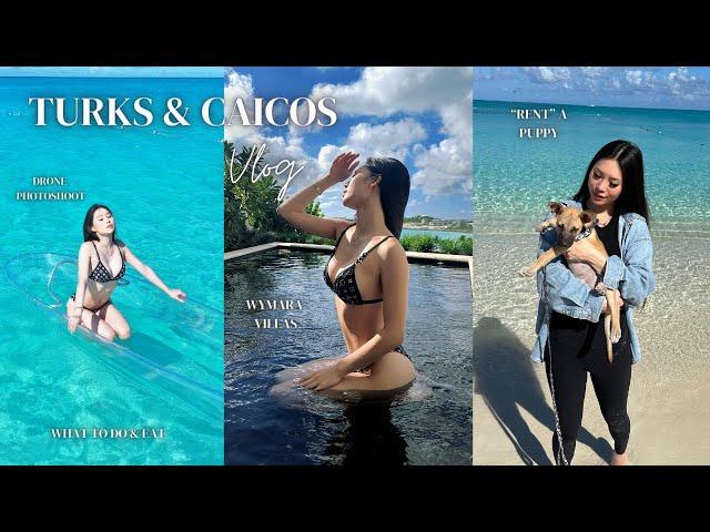 Turks & Caicos Vlog | PUPPY RENTAL, Drone Photoshoot, Wymara Private Pool Villas, Yachting