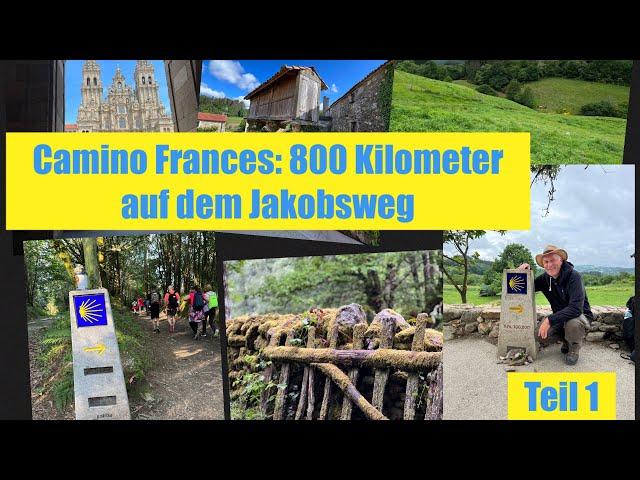 Camino Frances: 800 Kilometer auf dem spanischen Jakobsweg. Teil 1