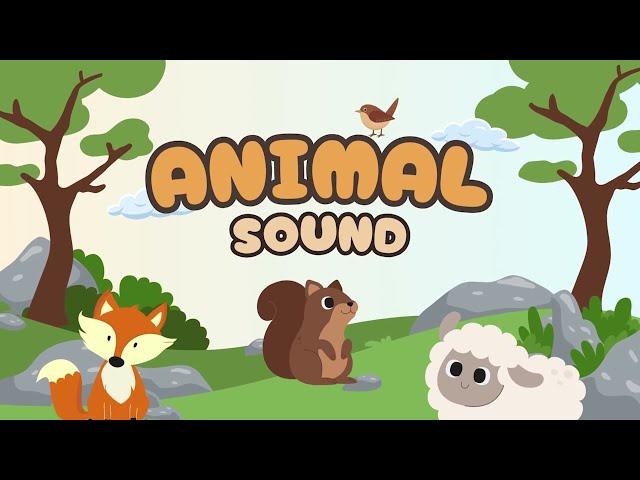 Animal Sound in Nature - Cat, Cow, Horse, Lion, Wolf, Duck ...... | Animals Moment