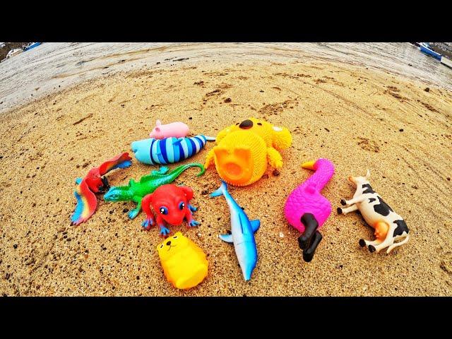 Find Animal Toys at the Harbour | Learn Animal Names & Facts: Lizard Shark Tiger Horse Frog Cow