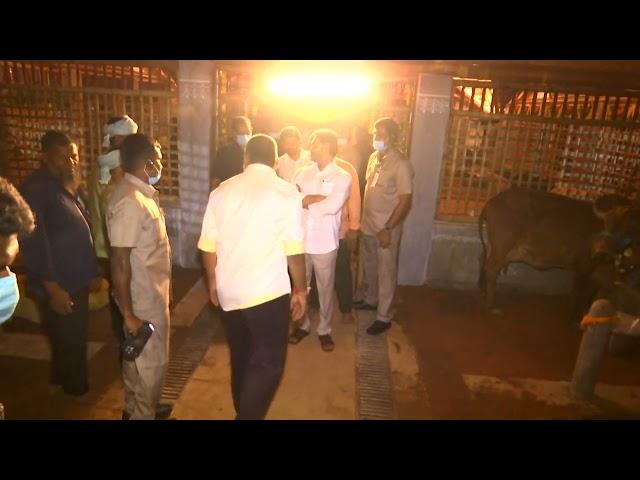 AP CM YS Jagan visited the newly set up Goshala at the CM residence || Tadepalli