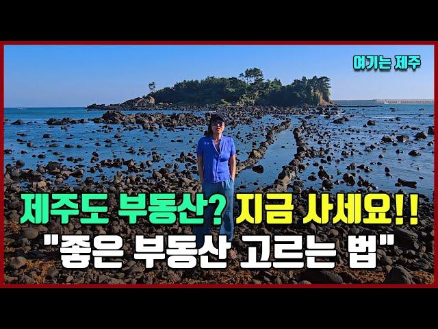 제주도 부동산? 지금 사세요!! "좋은 부동산 고르는 법" [여기는 제주도]