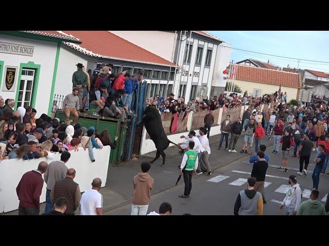 ARRAIAL DAS FONTINHAS  &  TOURADA