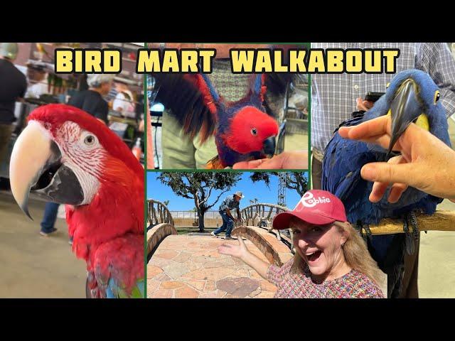 Pet Birds Event EXOTIC BIRD MART & Expo Pomona Fairplex California Parrots Canaries Conures Finches