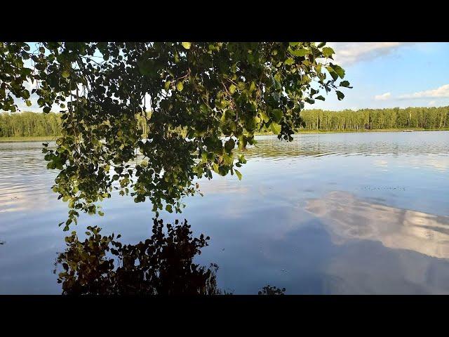 АВГУСТ. ОЗЕРО. МУЗЫКА. РЕЛАКС. #relax #природа #nature #nativeamericanmusic #расслабление