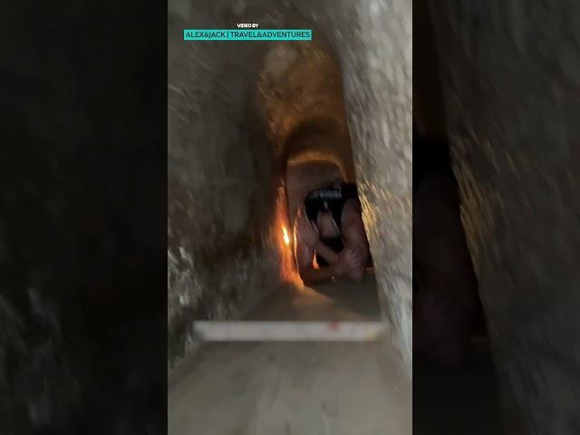 Bat Jumpscare