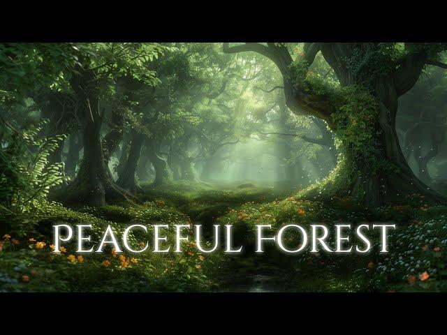 Peaceful Forest Ambience and Music | peaceful fantasy music and sounds of a forest in spring