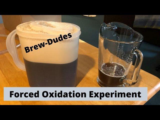 Forced Oxidation Experiment in Homebrewed Beer - Brew Dudes