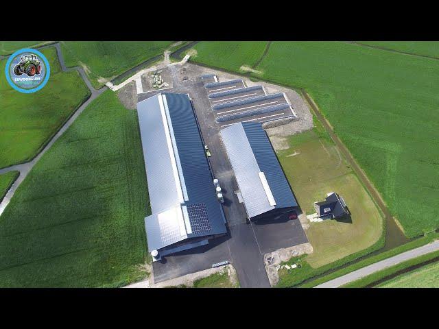 The Progress Of Building A New Dairy Farm For 200 Milking Cows - The Netherlands - Firma Mulder