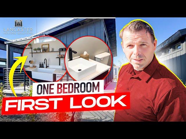 Would You Live Here? A 1-Bedroom Tiny Home Tour!