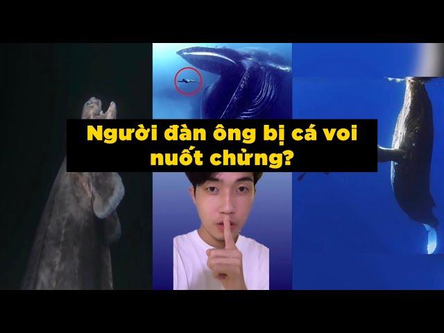 Đại dương và những bí ẩn kỳ quái | Sự thật lạ lùng mà bạn chưa bao giờ biết (P51-P60)