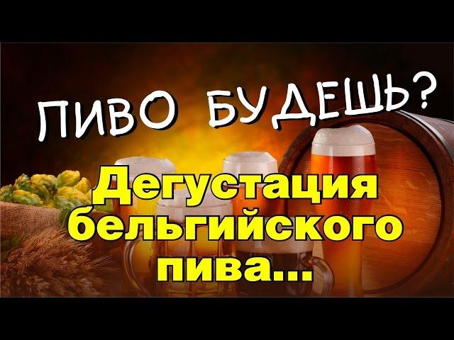 Бельгийское пиво, лучшее пиво в мире!