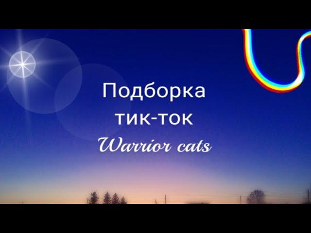 Коты воители | Подборка из тик-тока 1 ч.