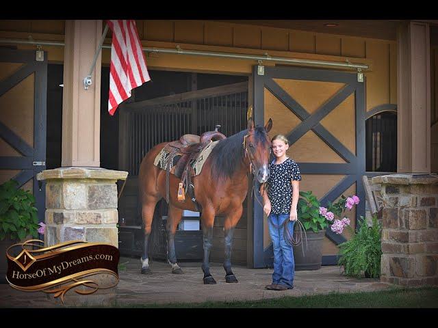 Lena's Video By Horse Of My Dreams