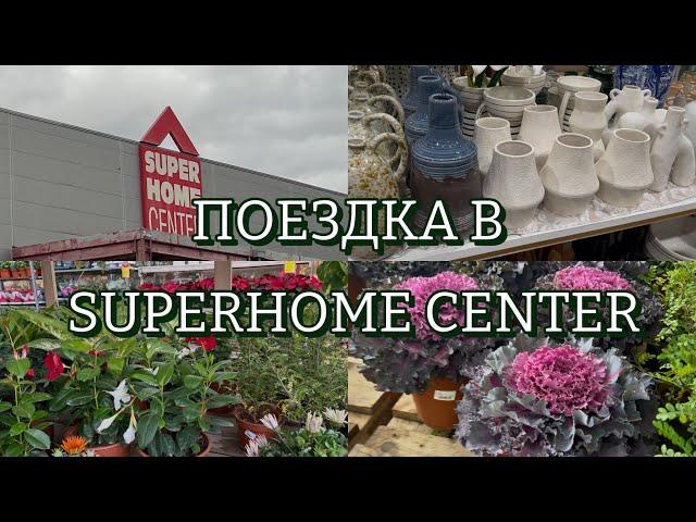 VLOG: Поездка в SuperHome | Новые растения | Цветочные магазины | Красивые сады