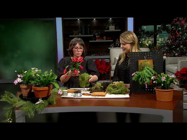 Erin Harding Shares a Blooming Winter Plant Project