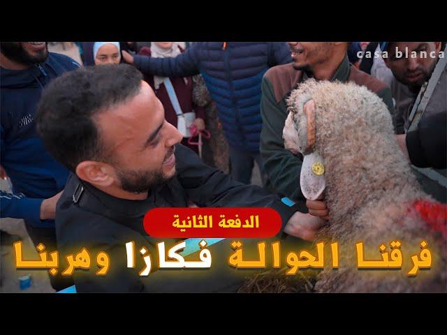 خوفا من الفوضى في كازا فيسبوكي حر يوزع الأكباش بسرعة ويدعو المغاربة للإتصال بنجاة