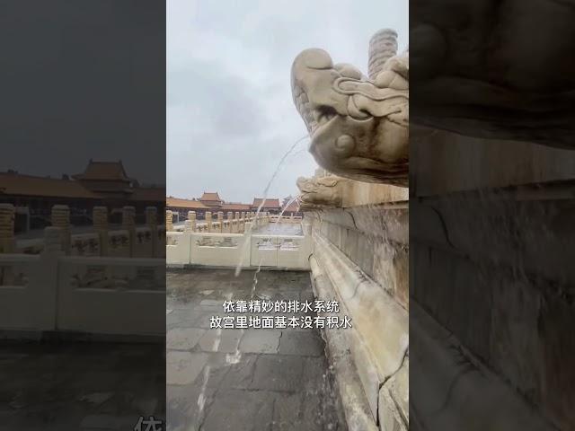 不服不行！故宫再现“九龙吐水”…古人的智慧 #北京  #故宫