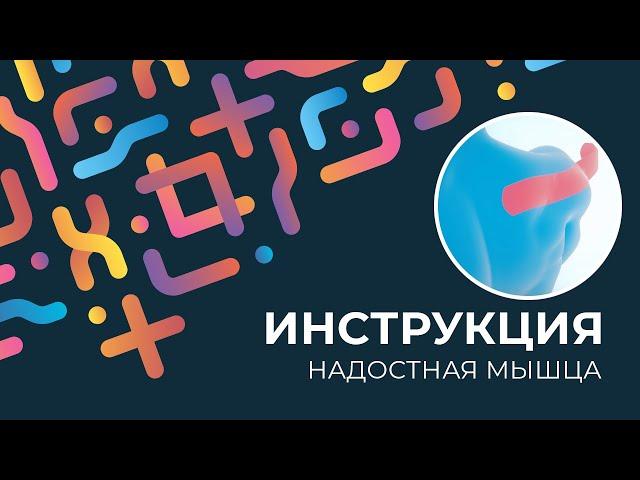 Kinexib - тейпирование надостной мышцы