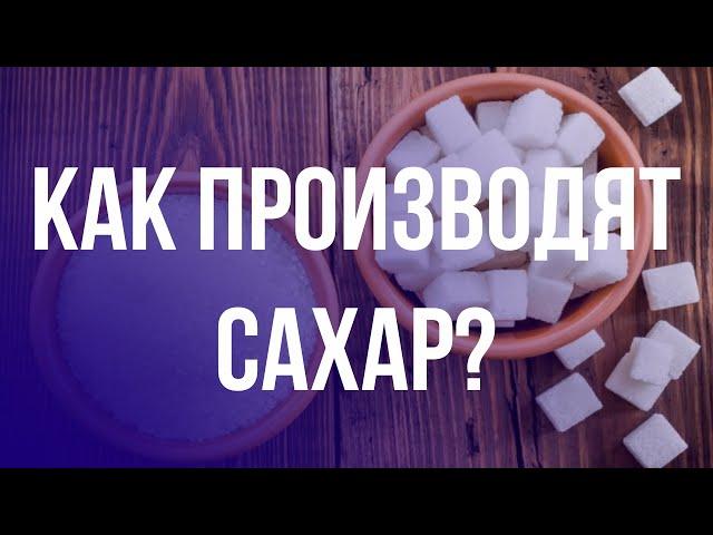 Из чего на самом деле делают сахар? ШОК!