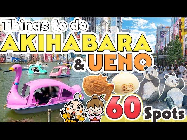 Things to do in Akihabara and Ueno Tokyo / Japan Travel Update 2024