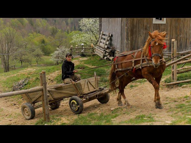 Far From Civilization: 5 Days of Happy but Hard Life for a Family in a Remote Mountain Village