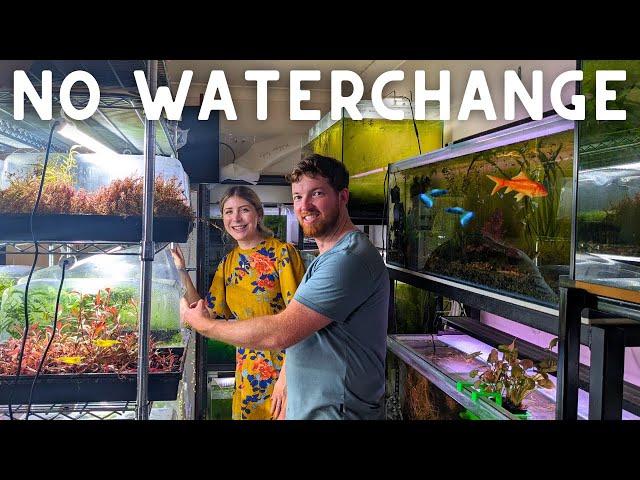 NO WATERCHANGE Fish Room Setup! FULL TOUR w/@duthieaquatics