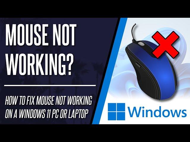 How to FIX Mouse Not Working or Detected on Windows 11