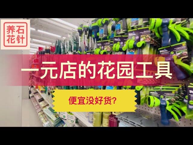 一元店的养花工具和装饰品 - 这么便宜，看看值不值得买