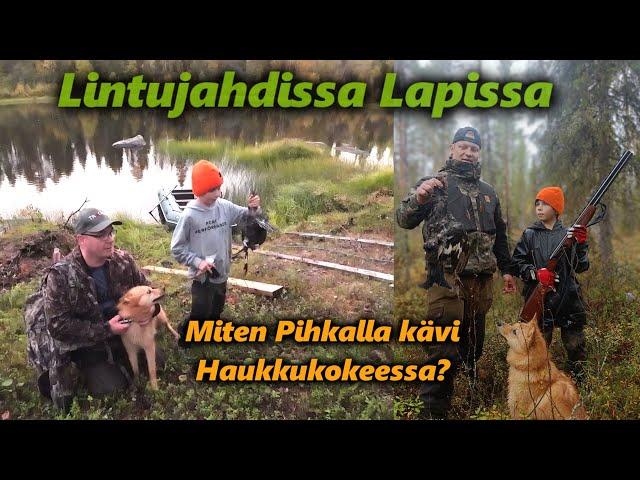 Metsäkanalinnustusta lapissa | Pihkan haukkukokeen tulos