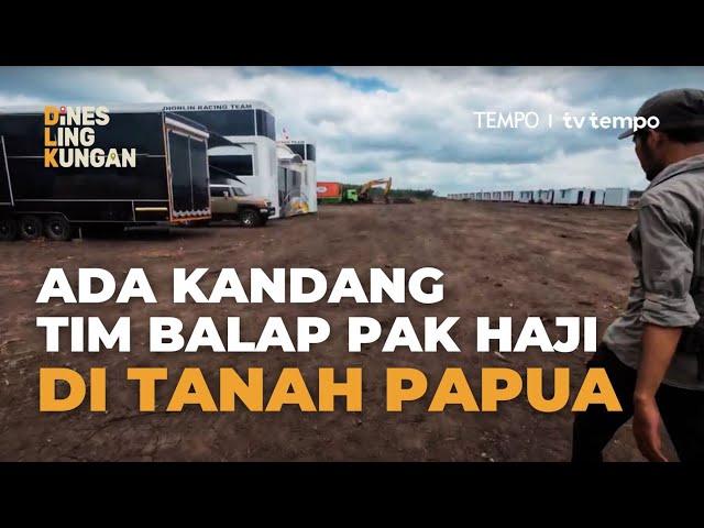 Datang ke Lokasi Pembukaan Lahan Megaproyek Food Estate di Papua | Dines LingKungan Eps #2