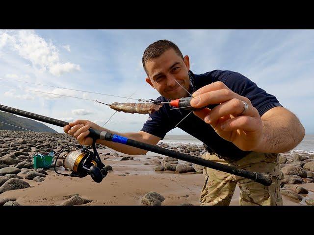 Sea Fishing UK - Shore Fishing in the Bristol Channel | The Fish Locker