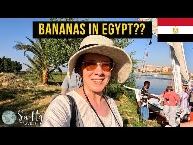 We went BANANAS at Banana Island LUXOR Egypt!