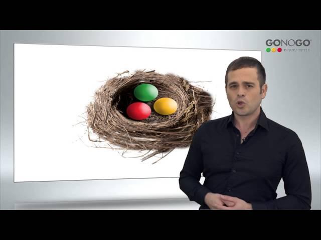 תוכנית עסקית | מבנה הארגון, ניהול וכוח אדם