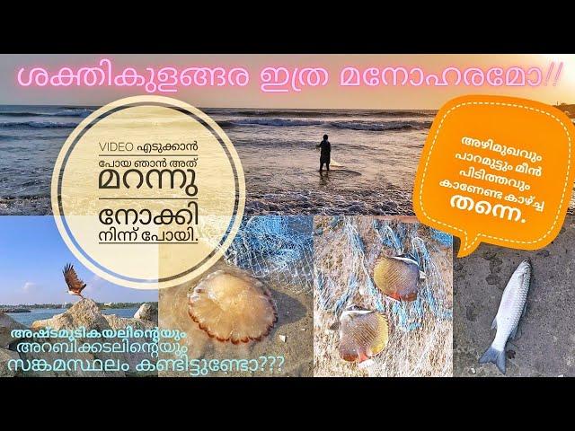 Sakthikulangara muttu|Kerala Fishing|Fishing Video| Fishing malayalam| marine flavours | fishing