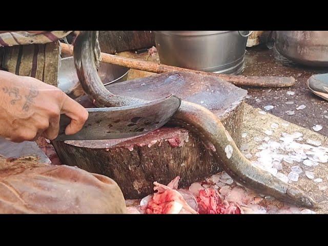 AMAZING BIG BAAM FISH CUTTING SKILL.. | Fish Market