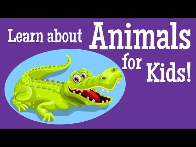 Learn about Animals for Kids!