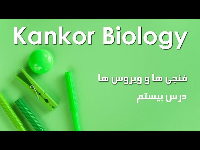 بیولوژِی /کانکور | فنجی ها و ویروس ها؛ درس بیستم