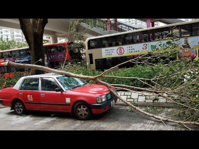 Clean-up in Hong Kong after monster storm