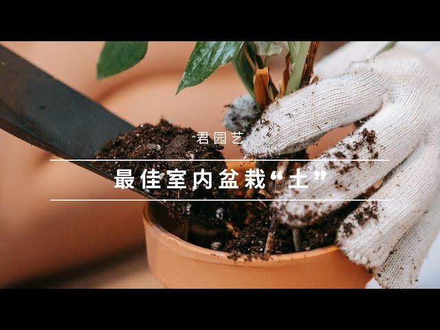 最佳室内盆栽用“土”【植物养护知识】001