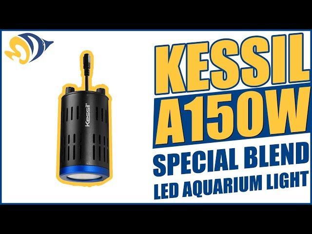 Kessil A150W Special Blend LED Aquarium Light Product Demo