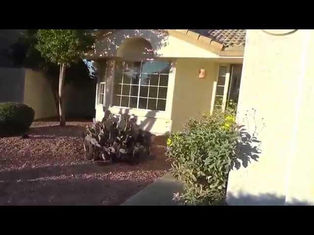 Houses for Rent in Phoenix Arizona 3BR/2BA by Phoenix Property Management