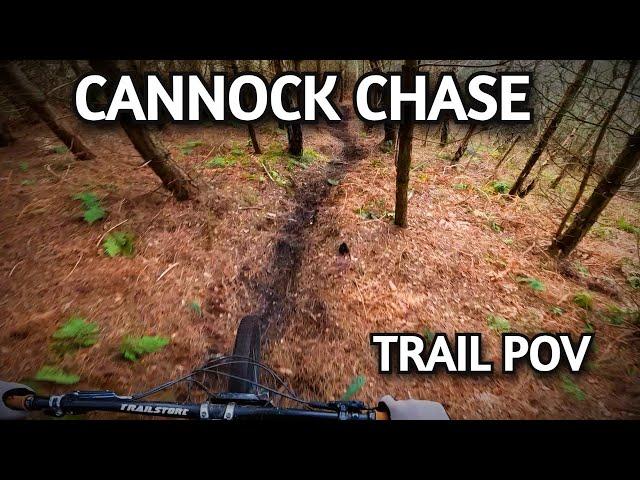 One of the best UK MTB trail Centers - Cannock Chase Follow the Dog & Monkey Full POV 2023