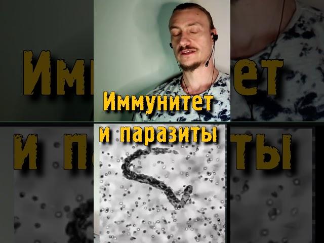 Иммунитет и паразиты #гельминты #паразиты #антипаразитарный