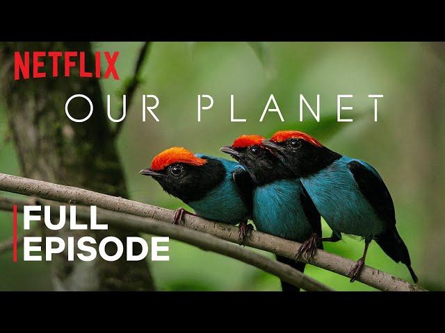 Our Planet | One Planet | FULL EPISODE | Netflix